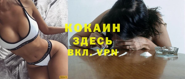 apvp Алексин